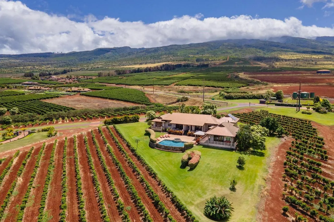 Vila Rainbow Hale Estate Kahana